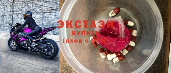 шишки Надым