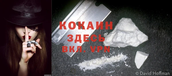 ECSTASY Липки
